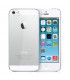 Husa pentru Apple iPhone 5 / iPhone 5s / iPhone SE, Policarbonat, Transparent, 12268.03